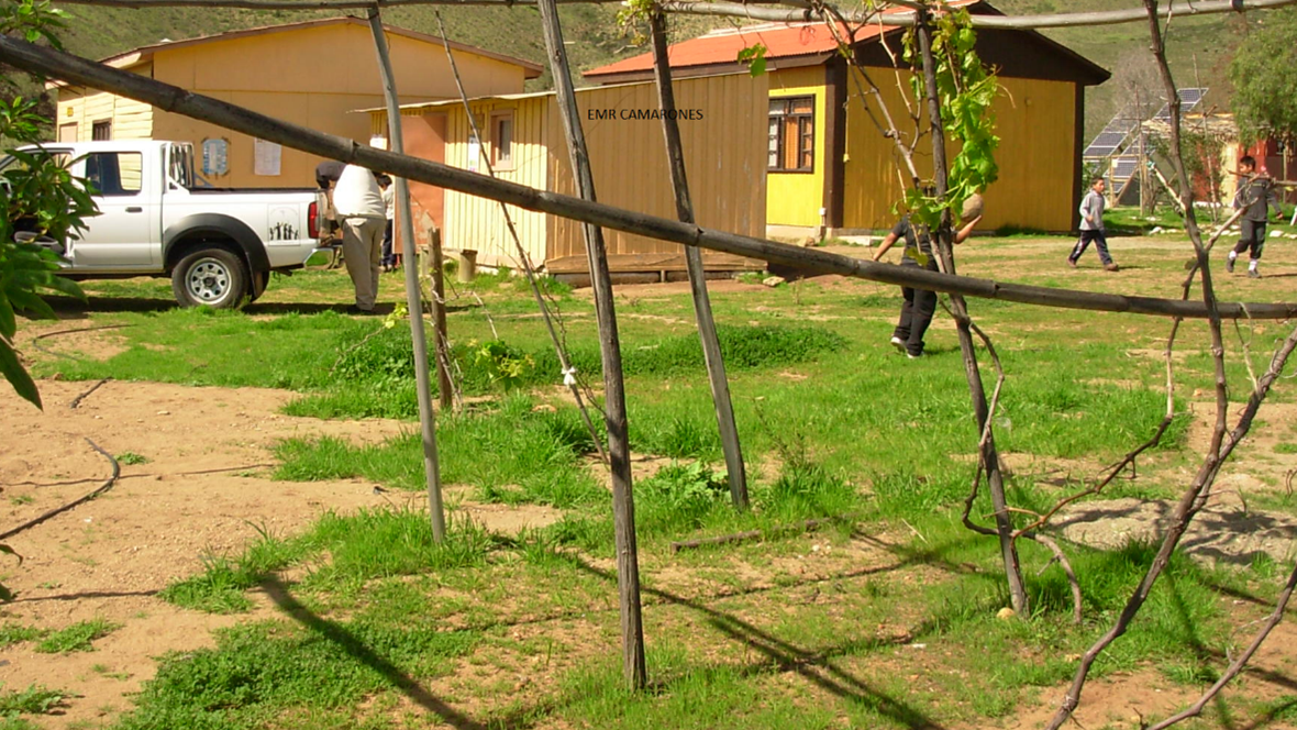 ESTACION MEDICO RURAL Camarones